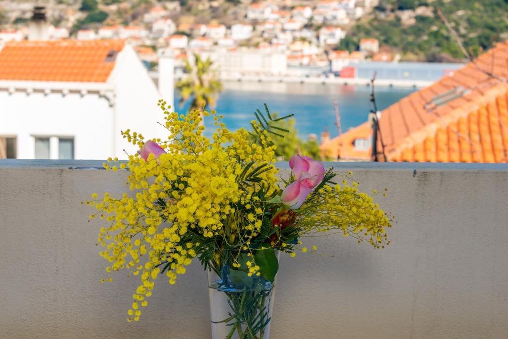 Apartment Adria Dubrovnik Cameră foto